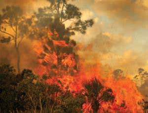 Humans' indelible stamp on Earth clear 5000 years ago