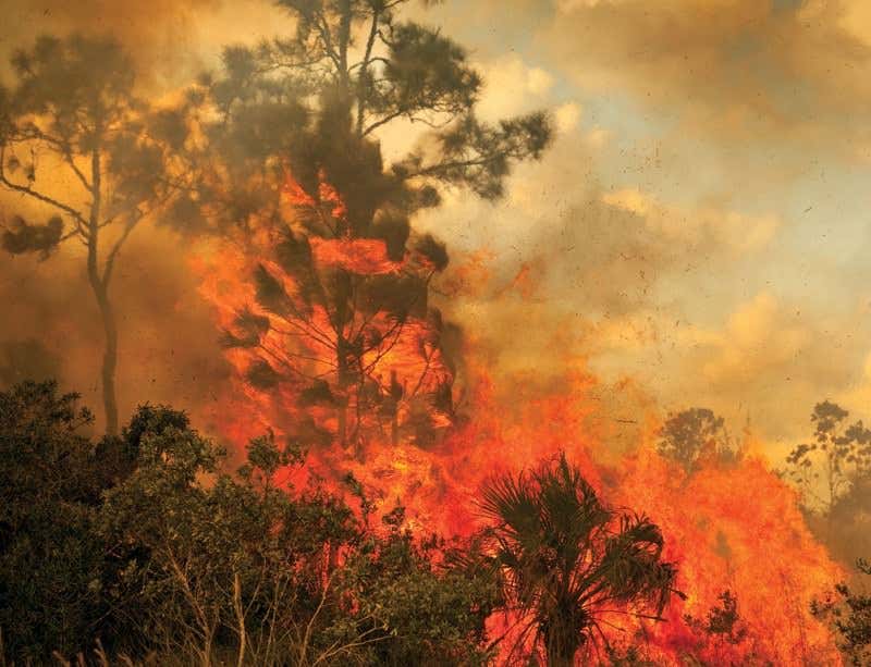 New Scientist. Science news and long reads from expert journalists, covering developments in science, technology, health and the environment on the website and the magazine.