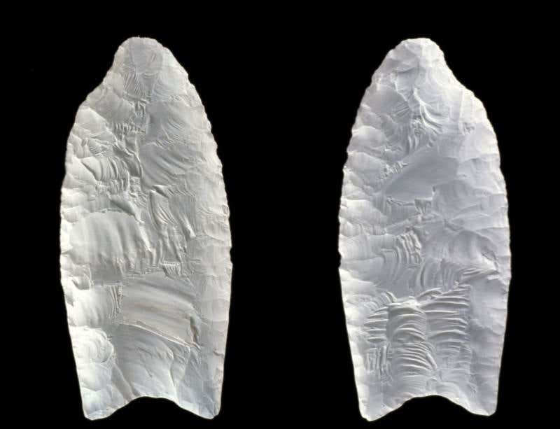 New Scientist. Science news and long reads from expert journalists, covering developments in science, technology, health and the environment on the website and the magazine.