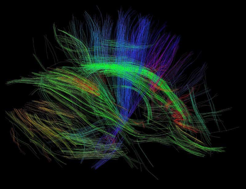New Scientist. Science news and long reads from expert journalists, covering developments in science, technology, health and the environment on the website and the magazine.
