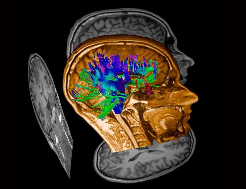 New Scientist. Science news and long reads from expert journalists, covering developments in science, technology, health and the environment on the website and the magazine.