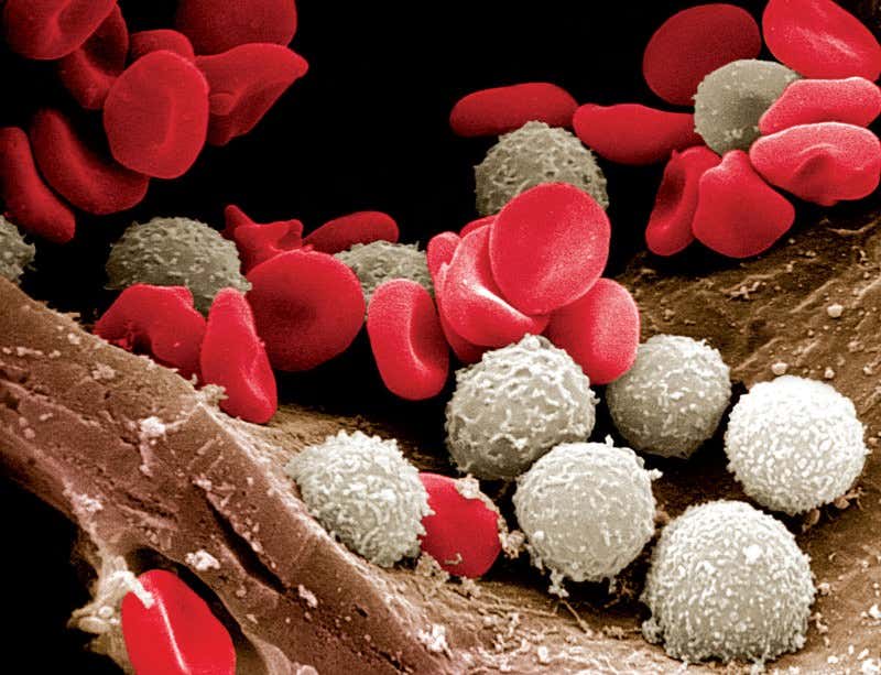 New Scientist. Science news and long reads from expert journalists, covering developments in science, technology, health and the environment on the website and the magazine.