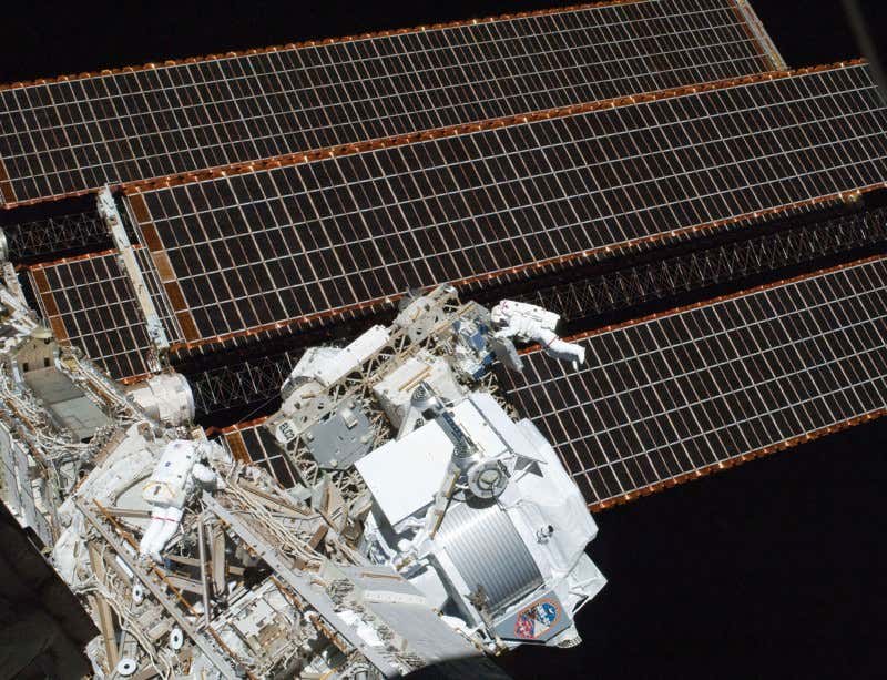 New Scientist. Science news and long reads from expert journalists, covering developments in science, technology, health and the environment on the website and the magazine.