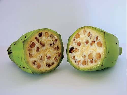 Nana from heaven? How our favourite fruit came to be