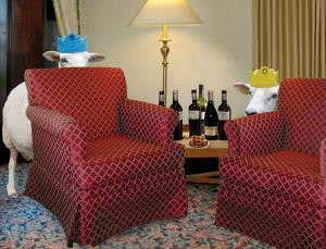 Survival of the shyest: Timidity's surprising benefits