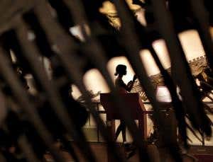 Our love affair with strange prehistoric bones