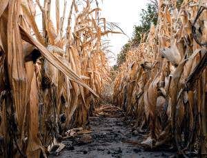 Climate's role in US droughts is under scrutiny