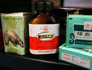 Hunting wildlife's illegal traders online