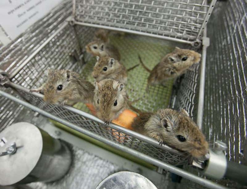 New Scientist. Science news and long reads from expert journalists, covering developments in science, technology, health and the environment on the website and the magazine.