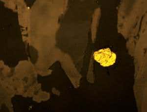 Rocks re-emerge after 2.5 billion years in mantle