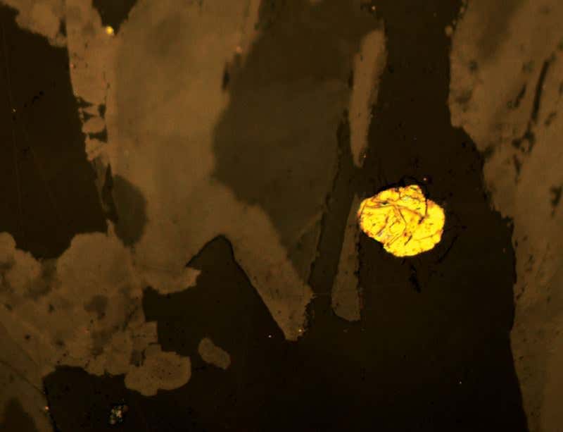 New Scientist. Science news and long reads from expert journalists, covering developments in science, technology, health and the environment on the website and the magazine.