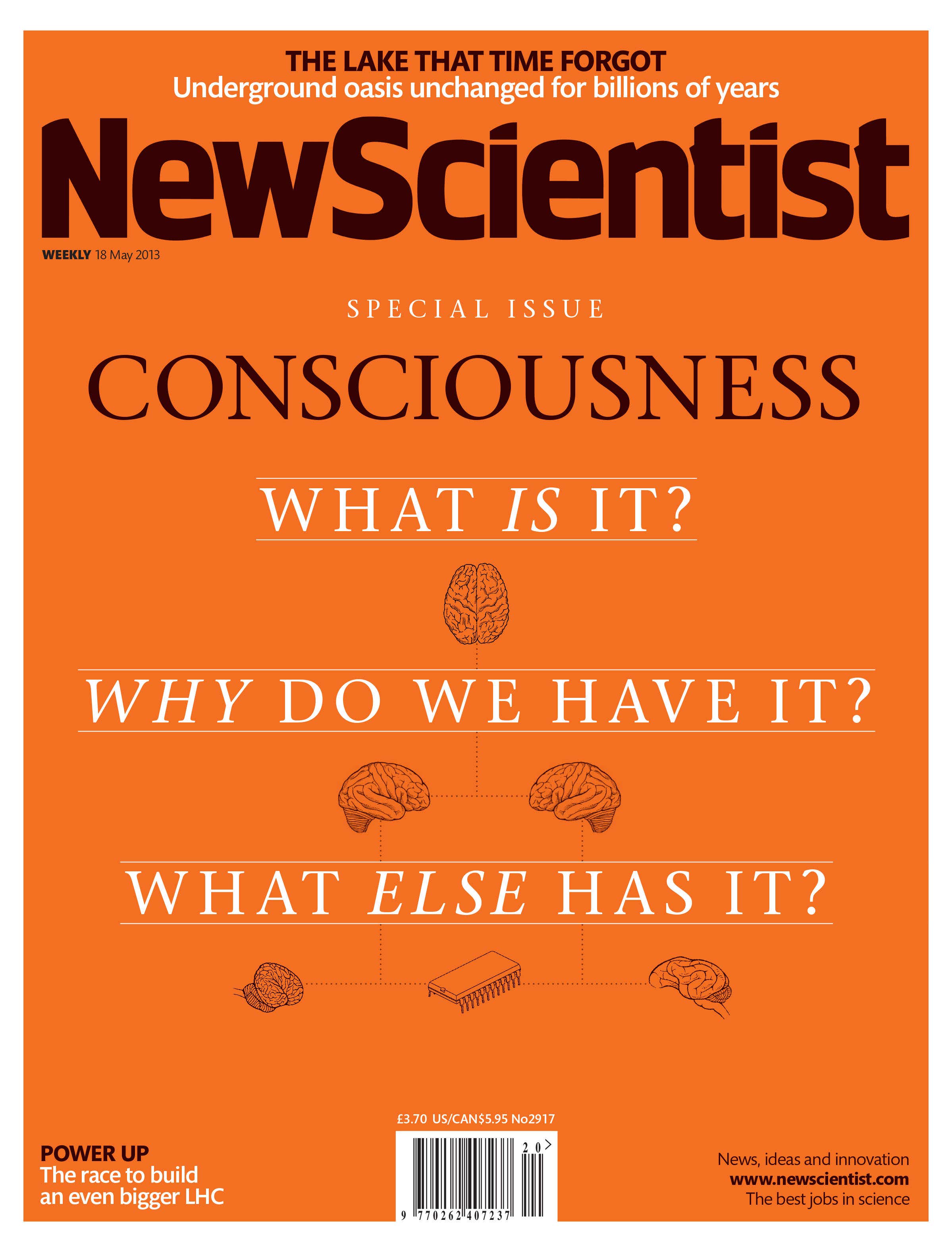 New Scientist issue 2917 cover