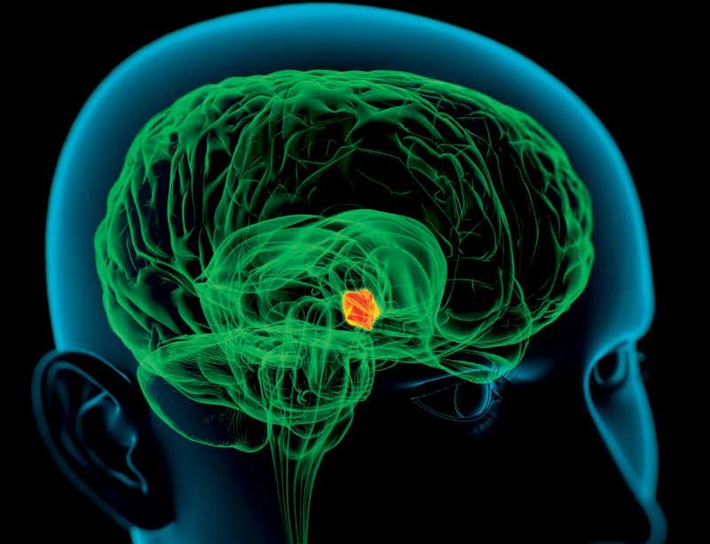 New Scientist. Science news and long reads from expert journalists, covering developments in science, technology, health and the environment on the website and the magazine.