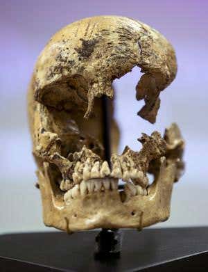 Scarred skull reveals cannibalism at Jamestown colony