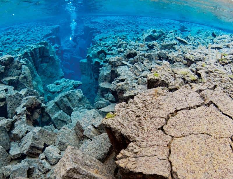 New Scientist. Science news and long reads from expert journalists, covering developments in science, technology, health and the environment on the website and the magazine.