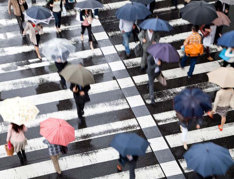 New Scientist. Science news and long reads from expert journalists, covering developments in science, technology, health and the environment on the website and the magazine.