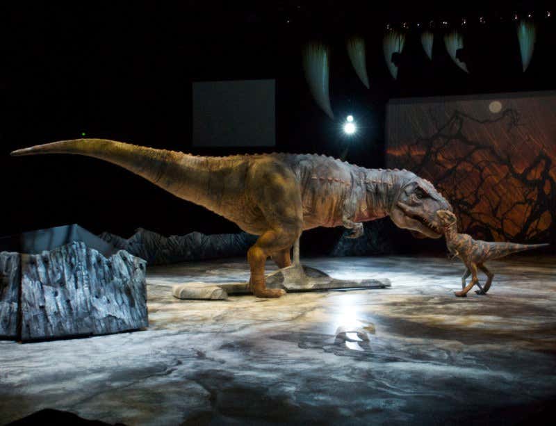 New Scientist. Science news and long reads from expert journalists, covering developments in science, technology, health and the environment on the website and the magazine.