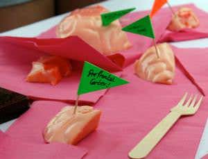 The festival year starts here