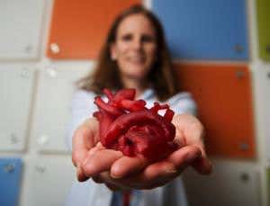 3D printer shows surgeons secrets of strange hearts