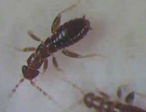 New Scientist. Science news and long reads from expert journalists, covering developments in science, technology, health and the environment on the website and the magazine.