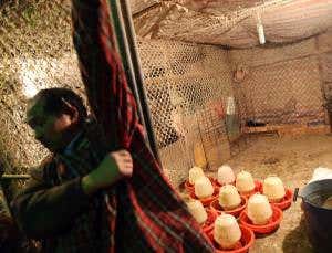 New Scientist. Science news and long reads from expert journalists, covering developments in science, technology, health and the environment on the website and the magazine.