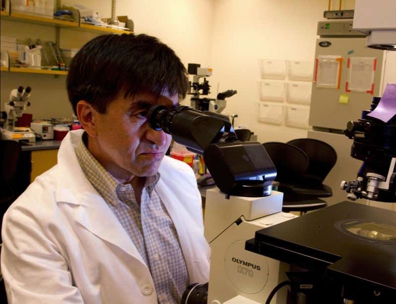 New Scientist. Science news and long reads from expert journalists, covering developments in science, technology, health and the environment on the website and the magazine.