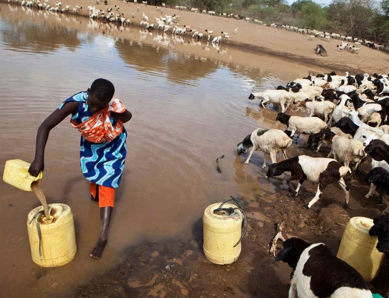 New Scientist. Science news and long reads from expert journalists, covering developments in science, technology, health and the environment on the website and the magazine.