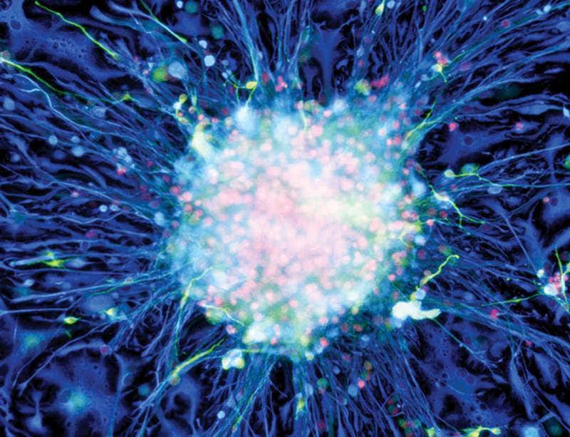 New Scientist. Science news and long reads from expert journalists, covering developments in science, technology, health and the environment on the website and the magazine.