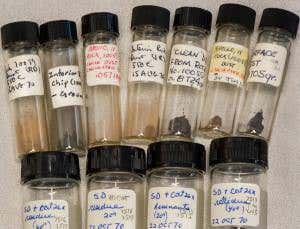 New Scientist. Science news and long reads from expert journalists, covering developments in science, technology, health and the environment on the website and the magazine.