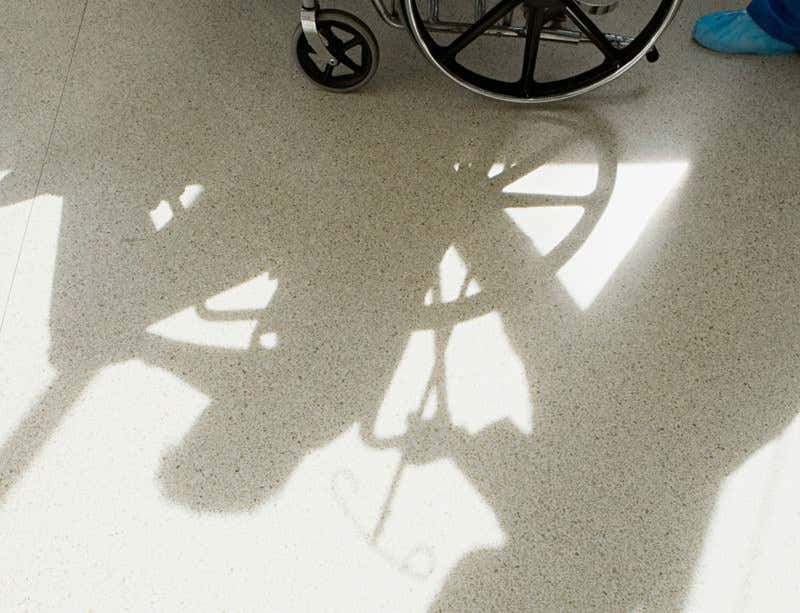 New Scientist. Science news and long reads from expert journalists, covering developments in science, technology, health and the environment on the website and the magazine.