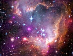 New Scientist. Science news and long reads from expert journalists, covering developments in science, technology, health and the environment on the website and the magazine.