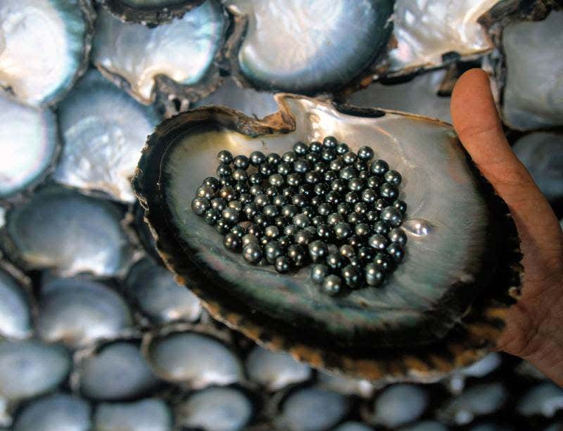 New Scientist. Science news and long reads from expert journalists, covering developments in science, technology, health and the environment on the website and the magazine.