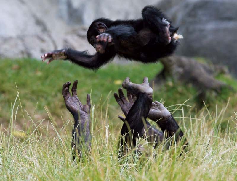 New Scientist. Science news and long reads from expert journalists, covering developments in science, technology, health and the environment on the website and the magazine.