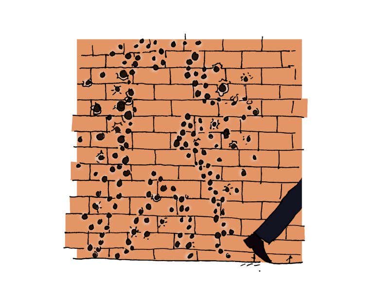 New Scientist. Science news and long reads from expert journalists, covering developments in science, technology, health and the environment on the website and the magazine.