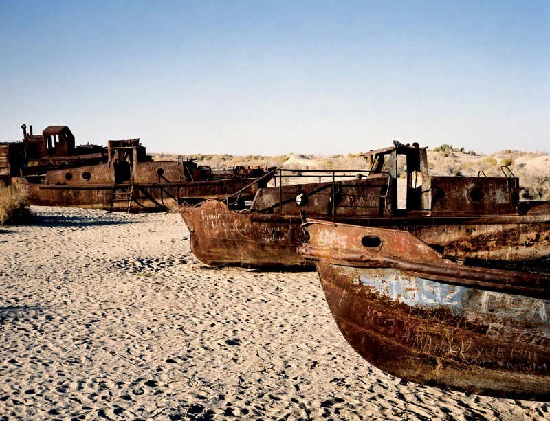 New Scientist. Science news and long reads from expert journalists, covering developments in science, technology, health and the environment on the website and the magazine.