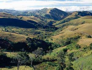 Did tectonic rift push apes and monkeys apart?