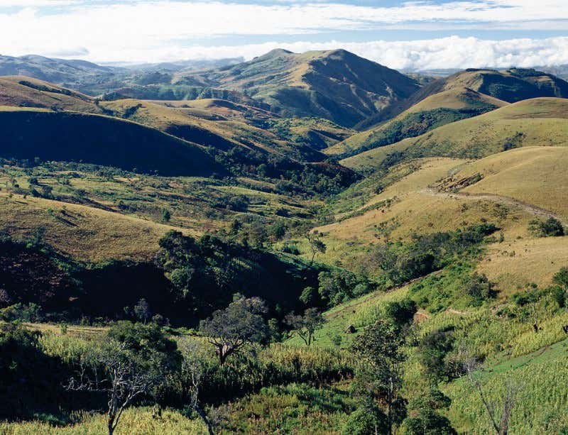New Scientist. Science news and long reads from expert journalists, covering developments in science, technology, health and the environment on the website and the magazine.