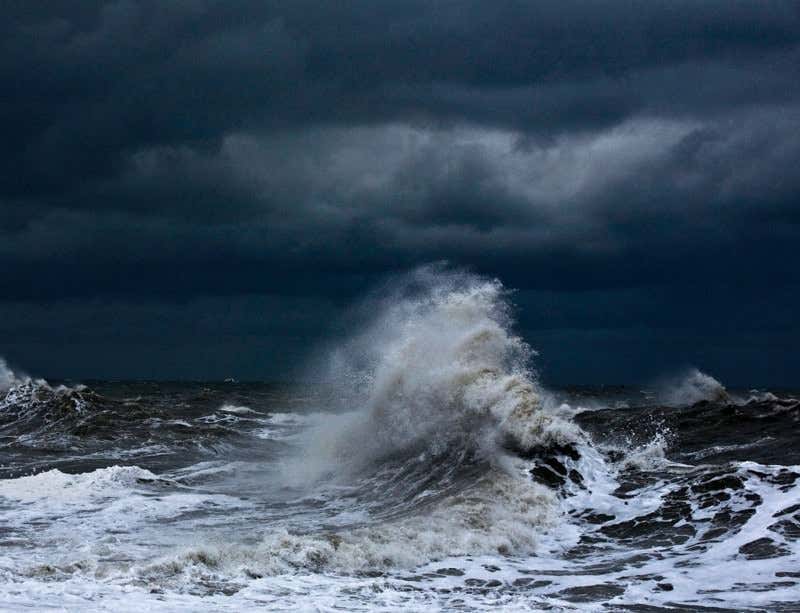 New Scientist. Science news and long reads from expert journalists, covering developments in science, technology, health and the environment on the website and the magazine.