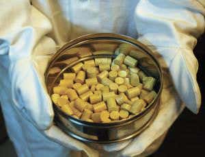 Nuclear energy: Frontiers