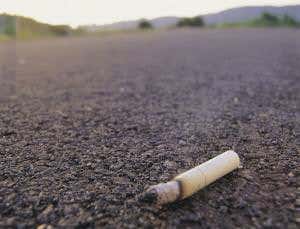 Artworks highlight legal debate over 'abandoned' DNA