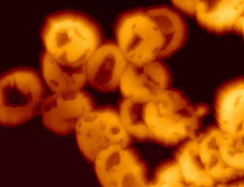 New Scientist. Science news and long reads from expert journalists, covering developments in science, technology, health and the environment on the website and the magazine.