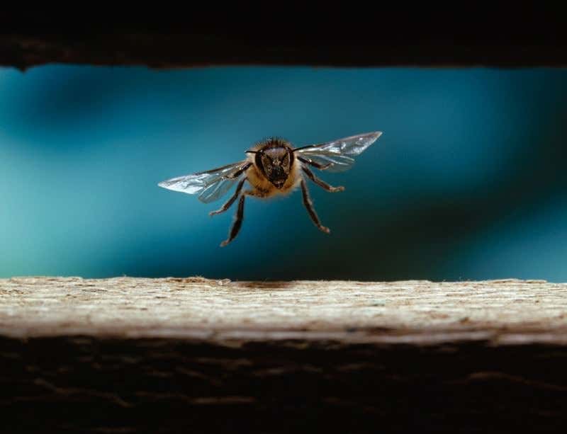 New Scientist. Science news and long reads from expert journalists, covering developments in science, technology, health and the environment on the website and the magazine.