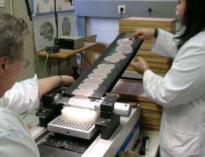 3D map of human brain is the most detailed ever