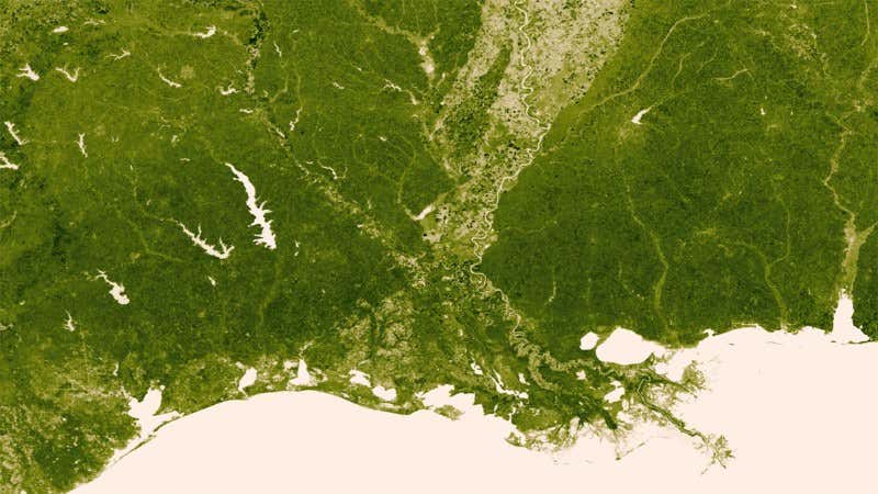 Earth's plant life glows green in hi-res space map