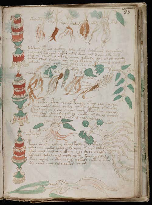 The Voynich manuscript