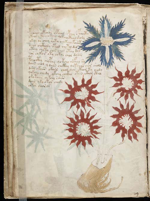 The Voynich manuscript