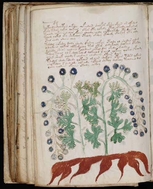 The Voynich manuscript