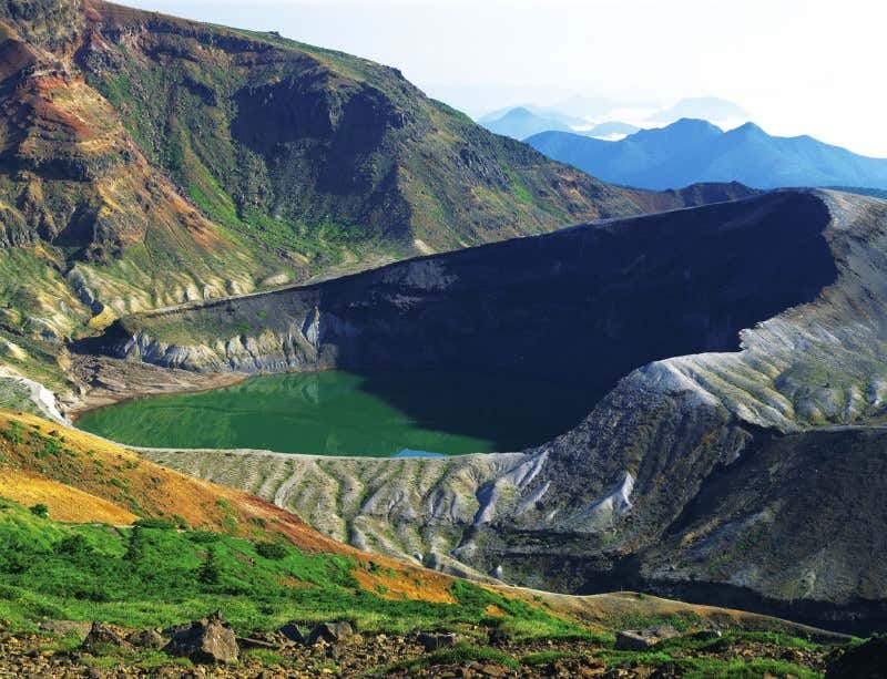 New Scientist. Science news and long reads from expert journalists, covering developments in science, technology, health and the environment on the website and the magazine.