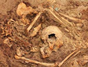 Gold and sacrificed humans found in ancient Wari tomb