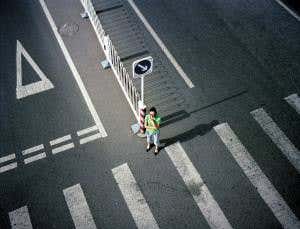 A biological basis for free will